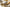 091905947-23ff7f43-3396-4688-8485-9145e9d5fb42.jpg
