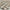 304857885_5811161928915819_4948245358200558403_n.jpg